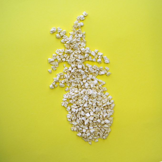 Gefriergetrocknete Früchte ohne Zusätze Ananas natürlich vegan