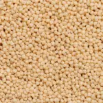 Ein Bild zeigt eine Makroaufnahme High-Protein Soja-Crispies von NutriPur