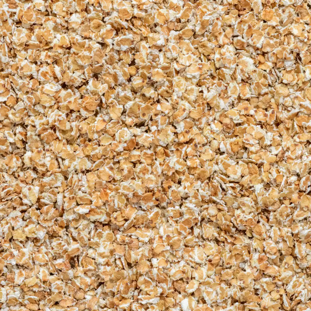 Ein Bild zeigt eine Makroaufnahme der Buchweizen-Flakes von NutriPur